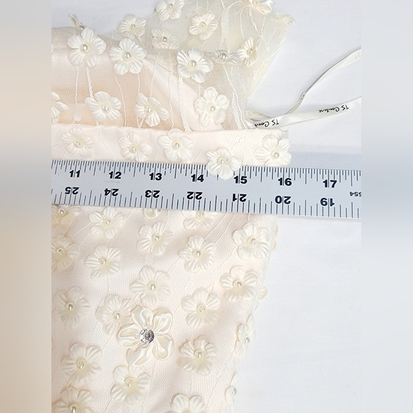 TS COUTURE Women's Size 2/4 Sleeveless Dress, Lined, Tulle skirt, Embroi… - Picture 8 of 15